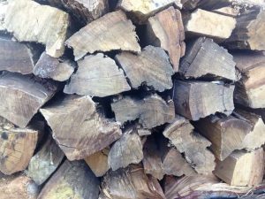 Bluegum Firewood
