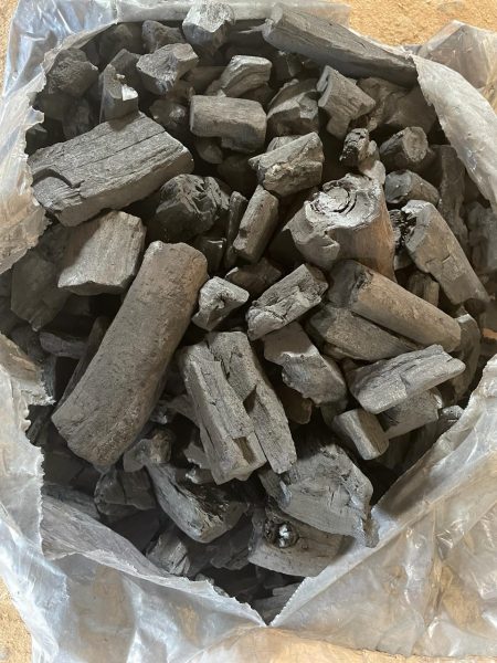Charcoal 1