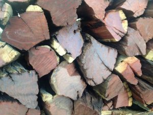 Kameeldoring Firewood