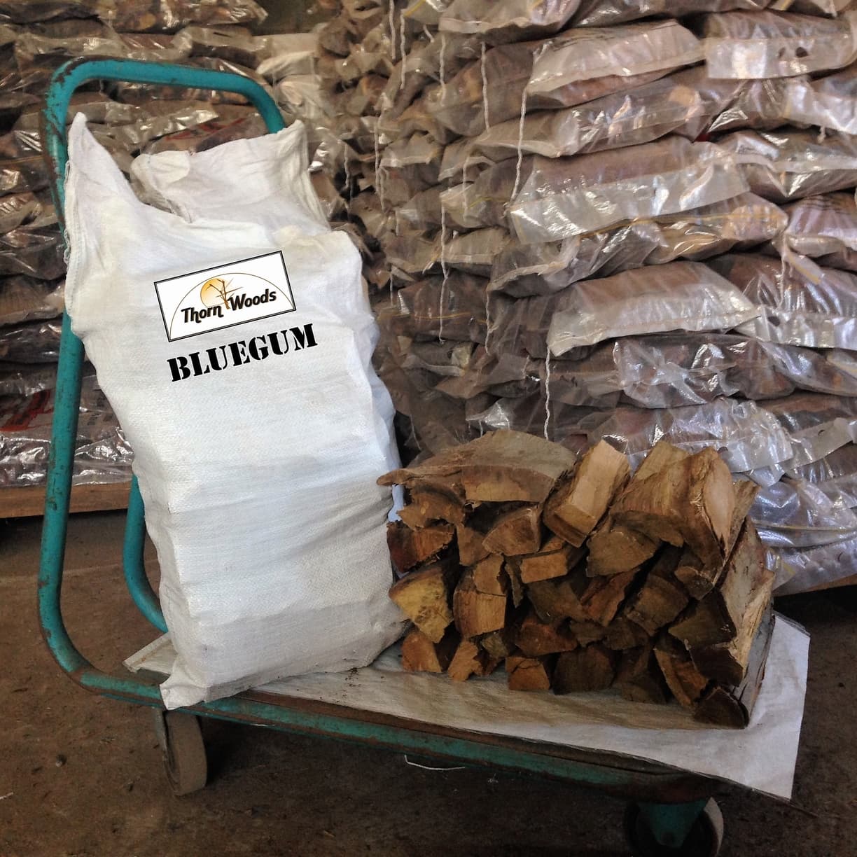 Bluegum Kaggel